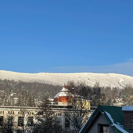 Votocek Апартаменты Рокицани